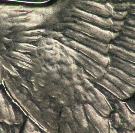1972-Eisenhower-Dollars---Type-1,2,-And-3??